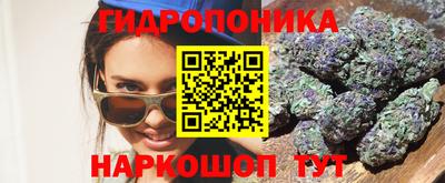 эйфоретик Можга