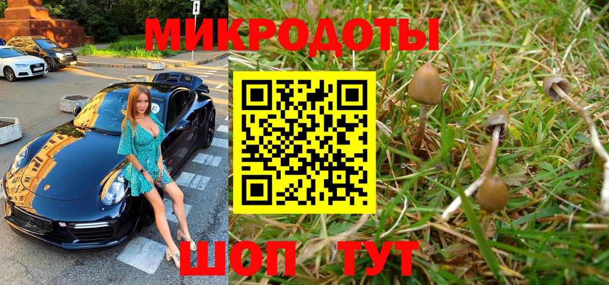 Галлюциногенные грибы GOLDEN TEACHER Юрга